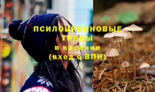 стафф Михайлов
