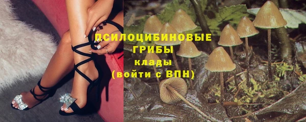 стафф Михайлов