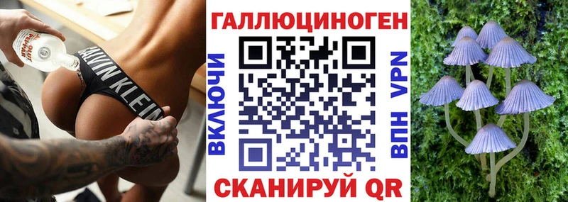 Купить где  Ялуторовск  Псилоцибиновые грибы прущие грибы 